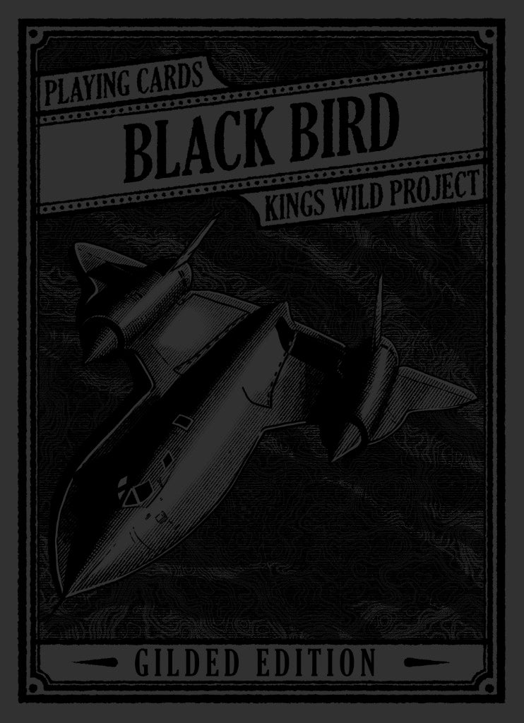 SR-71 BLACK BIRD
