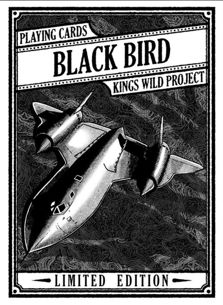 SR-71 BLACK BIRD