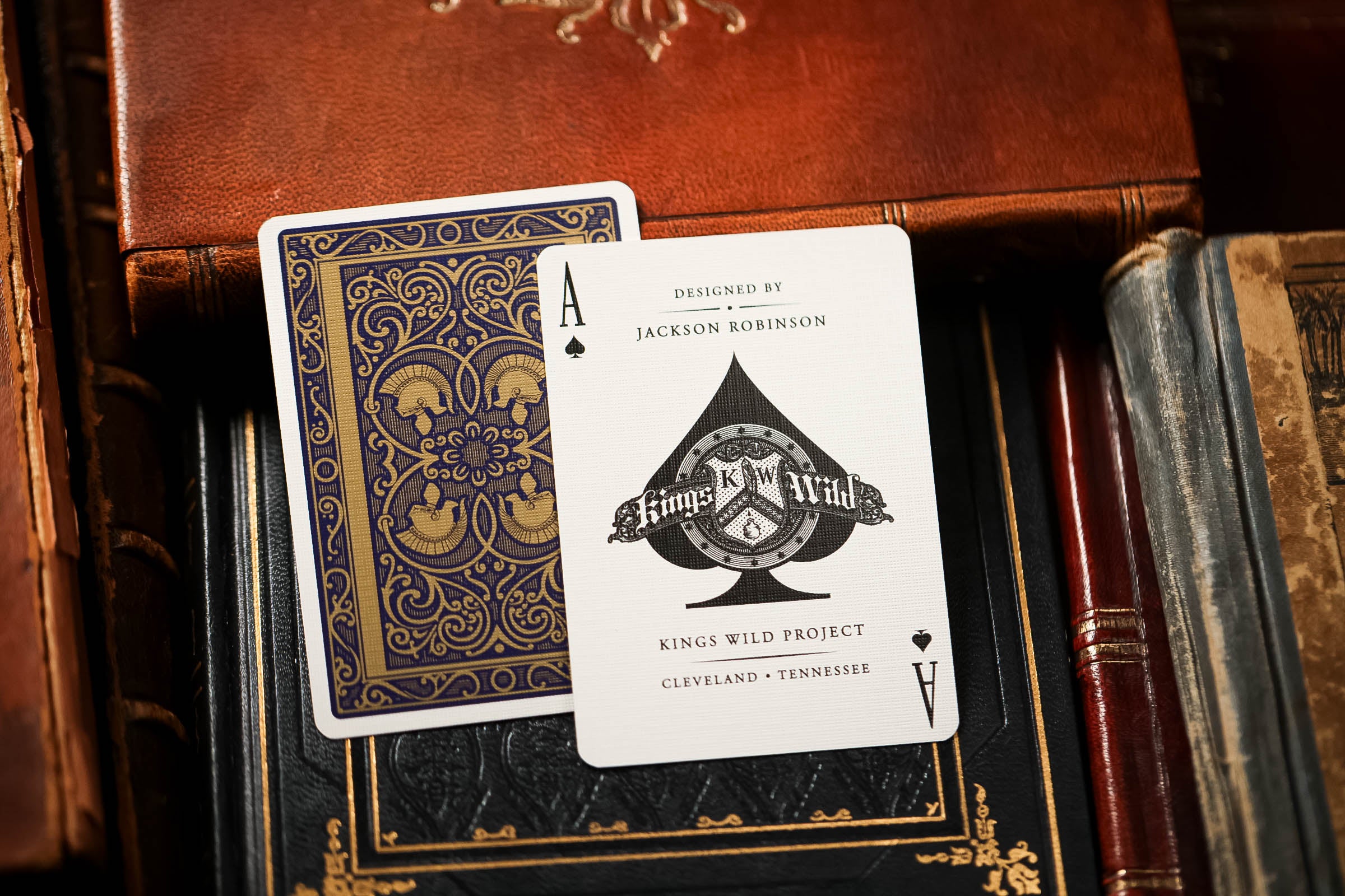 VOL47-16.jpg__PID:a1b85a8c-f388-4e7c-bd34-9ce98a575442